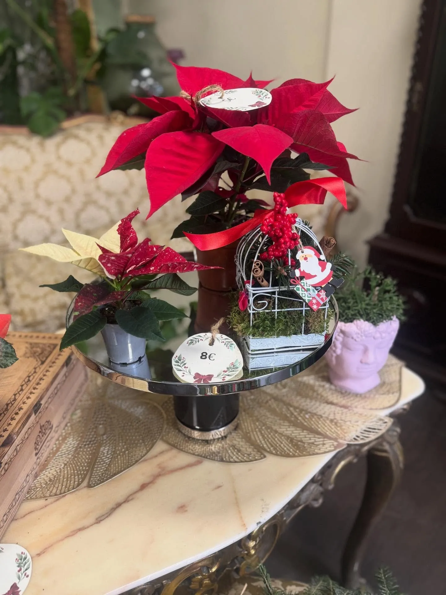 Composizioni natalizie con stelle di Natale rosse e decorazioni, nel negozio di fiori